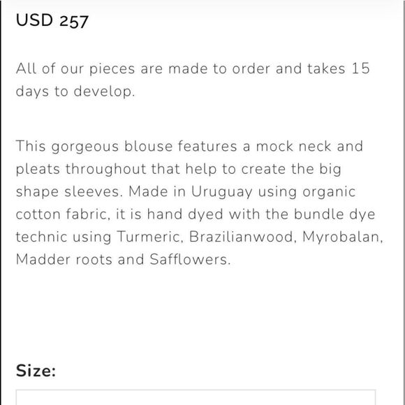 Free People by Maria Bouvier UBAJAY BLOUSE Size XL New NWT - Picture 10 of 17